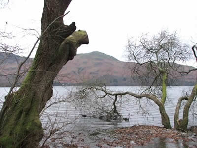 DerwentWater Feb 2008 (c) Rob Shephard