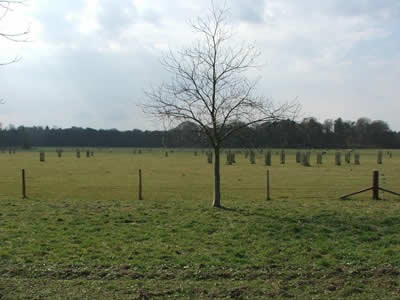 Houghton Hall Park - Photo © Rob Shephard 2008