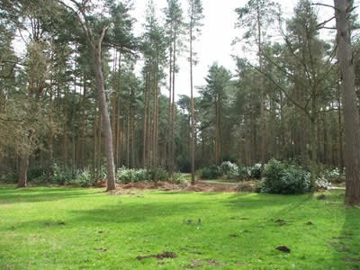 Sandringham Estate - Photo © Rob Shephard 2008