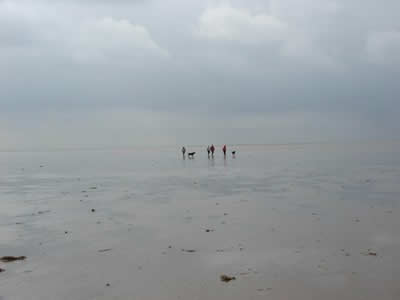 Snettisham Beach - Low Tide © Rob Shephard 2008