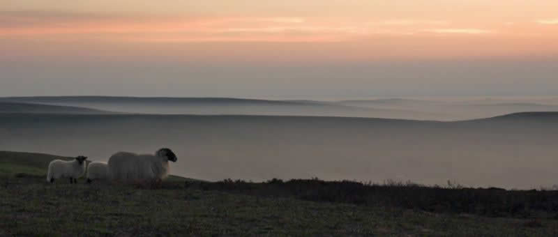 North York Moors View  (c) Colin Grice