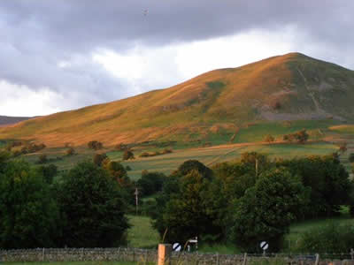 Shot near Appleby. Provided by Mrs Walker, Hall Croft Guest House Appleby